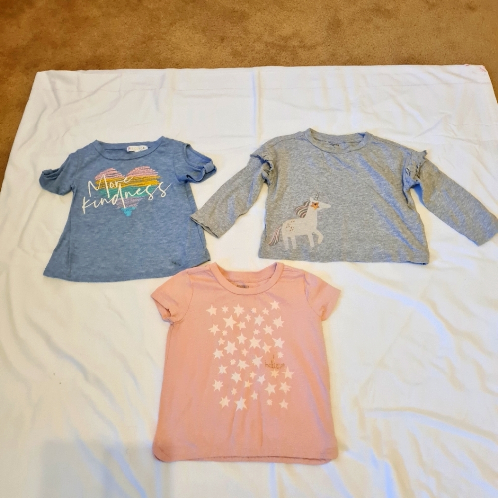 Bundle of 3 (2T) Girls Tops